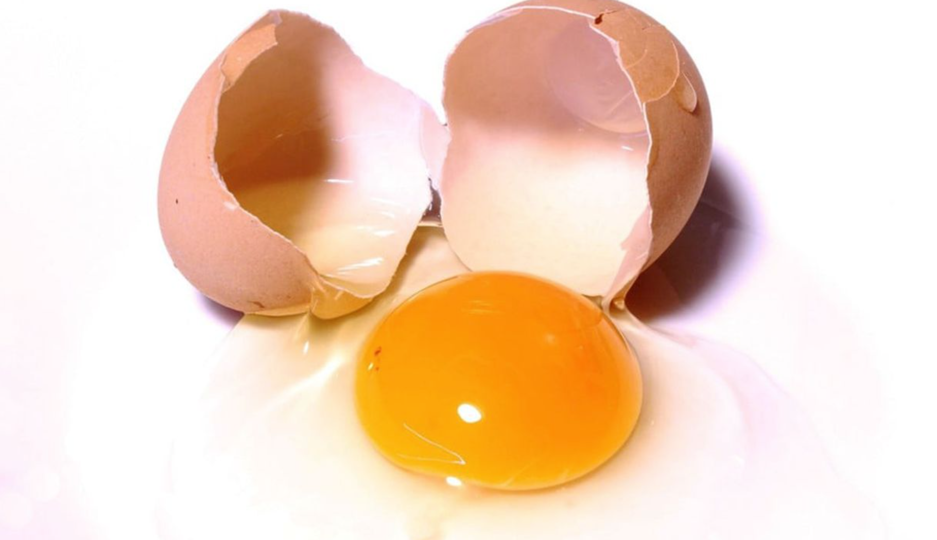 Los beneficios de la clara y la yema del huevo